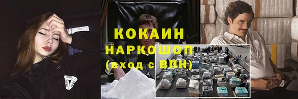 шишки Балахна