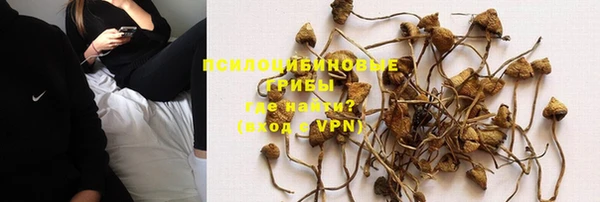 хмурый Армянск