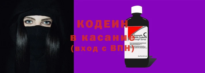 шишки Балахна